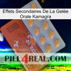 Effets Secondaires De La Gelée Orale Kamagra 43